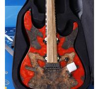 Leo Jaymz Electric Guitar Hurricane Deluxe See What You Get Series, Mahogany Body, Roasted Maple Neck, Rosewood Fretboard, Locking Tuners, Rounded Frets, Case