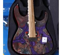 Leo Jaymz Electric Guitar Hurricane Deluxe See What You Get Series, Mahogany Body, Roasted Maple Neck, Rosewood Fretboard, Locking Tuners, Rounded Frets, Case