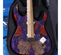 Leo Jaymz Electric Guitar Hurricane Deluxe See What You Get Series, Mahogany Body, Roasted Maple Neck, Rosewood Fretboard, Locking Tuners, Rounded Frets, Case