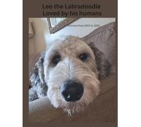 Leo the Labradoodle Loved by his humans: Pictures from 2022 to 2025