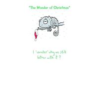 Leon the Chameleon 'The Wonder of Christmas' Humour Card 5 x 9 ins
