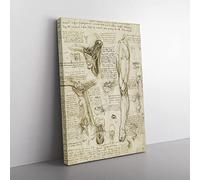 Leonardo Da Vinci Anatomy 8 Canvas Wall Art Print 30x20 Inch