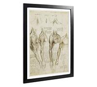 Leonardo Da Vinci Anatomy 9 Framed Wall Art Print A2 Black