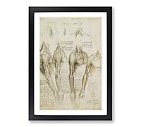 Leonardo Da Vinci Anatomy Framed Wall Art Print A2 Black