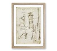Leonardo Da Vinci Anatomy Vol.7 Framed Print | A2 Oak Framed Wall Art | Ready to Hang | Modern Historical Picture | Living Room Bedroom Lounge Office