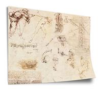Leonardo da Vinci Cotton Poster: Various Drawings, Unframed Art Print, Mural - A4, A3, A2, A1, A0, XXL - Living Room, Bedroom, Kitchen, Decoration