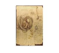 Leonardo_Da_Vinci Studies of The Fetus in The Womb by Da Vinci Posters Artworks Canvas Poster Wall Art Prints Home Modern Decor 20x30inch(50x75cm)