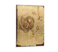 Leonardo_Da_Vinci Studies of The Fetus in The Womb by Da Vinci Posters Canvas Poster Wall Art Picture Prints Hanging Photo Decor Home Posters Artworks 12x18inch(30x45cm)