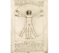 Leonardo Da Vinci - The Vitruvian Man, 1490