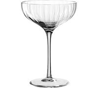 Leonardo Poesia 069169 Champagne Bowls Set of 6 Dishwasher-Safe Champagne Glasses Height 16 cm 260 ml Clear