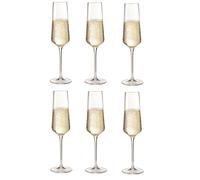 Leonardo Puccini Champagne Glass, Clear Set of 6