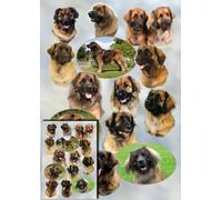 Leonberger Dog Gift Wrapping Paper with Small Gift Card Design by Starprint