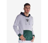 Leone 1947 College Tricolor Hoodie Light Grey Green - L