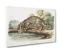 Leopard Cat By John Woodhouse Audubon Canvas Print | Gallery Wrapped 30mm Frame Wall Art | 20x14 inches | Ready to Hang | Retro Animals Picture | Living Room Bedroom Lounge Office