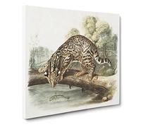 Leopard Cat by John Woodhouse Audubon Canvas Print | Gallery Wrapped 30mm Frame Wall Art | 20x20 inches | Ready to Hang | Retro Animals Picture | Living Room Bedroom Lounge Office