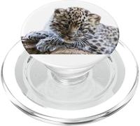 Leopard Cub Adorable Baby Snow Leopard Big Cat PopSockets PopGrip for MagSafe