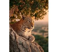 Leopard Diamond Art, Tree 5D DIY Diamond Painting Kits, 5D Full Drill Crystal Art Kits for Adults, DIY Adult Crafts, Cross Stitch Embroidery Crafts Pictures, Room Decor, Gifts for Women 12x16in 9-9526