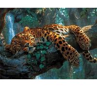 Leopard Forest Puzzle - 5000 Piece Jigsaw Puzzles for Adults - The Back Features Printed Letter Guides - The Pieces fit Together Snugly - Wooden Puzzles for Adults - Gifts Man 61.6 X 41.5 Inch s7h-758