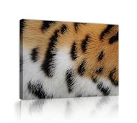 Leopard Fur Canvas Wall Art Animal Texture Close-Up Prints Modern Wildlife Photography Poster Painting for Living Room Office Home Decor 30x45cm