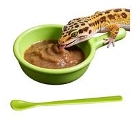 Leopard Gecko Food Dish Spider Food Dish with Spoon