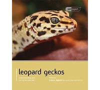 Leopard Gecko - Pet Expert: Understanding and Caring for Your Pet