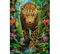 Leopard in the Wild