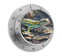 Leopard Little Gecko Mechanical Kitchen Timer for Cooking 60 Min with Magnetic Backing Loud Alarm,Stainless Steel Wind Up Countdown Timer Cute Egg Timers for Cooking Studying Gaming Classroom Office