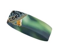 Leopard Little Gecko Sports Headbands for Man, Non Slip Sweatbands for Running, Stretchy Breathable Hairband for Cycling, Football, Yoga, Fitness Workout, Washing Face