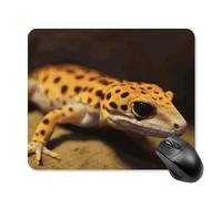 Leopard Little Gecko Square Mouse Pad Portable Computer Mousepad with Non-Slip Rubber Base 25 * 30cm Ultra-Thin Gaming Mouse Mat for Computer Laptop Office Desk Accessories
