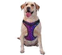 Leopard Neon Rainbow Gradient Pattern Dog Harness - Lightweight,Soft,Adjustable Small Harness and Leash Set, Suitable for Puppy Small and Medium-Sized Dog-Medium
