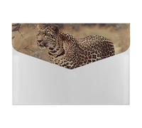 Leopard on The Roadside File Folder, Plastic Accordion File Folders with 6 Pockets, Expanding File Organizer with Snap Closure, Portable Document Paper Organizer, Office Supplies Filing Folders