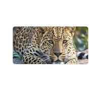 Leopard on The Stone Desk Pad Waterproof Writing Mouse Pad Non-Slip Laptop Desk Protector Large Office Desk Mat Computer Keyboard Rubber Mat for Work Home Decor 12" X 24"