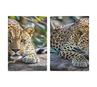 Leopard on The Stone PU Leather Passport Holder, Multiple Pockets Passport Cover, Travel Document Organizer for Men Women