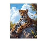 Leopard Paint by Numbers for Adults Animal Painting by Numbers for Adults, Art Supplies with Color Canvas for Painting 16x12In 36 Colors of Acrylic Paint and Brush, Wall Art for Room Decor 2YH-12296