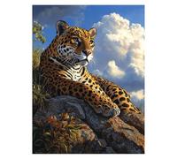 Leopard Paint by Numbers for Adults, Cloud Paint by Numbers for Children, DIY Hobbies for Adults Women Canvas for Painting 16x12In, Paintings Wall Art for Living Room Decor, Gifts for Women model-8413