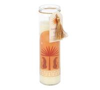 Leopard Palm Sandalwood & Oud Tube Candle - Rich Sandalwood & Oud Fragrance, Stylish Leopard Print Design, 50 Hours Burn Time, Vegan & Eco-Friendly, Ideal for Creating a Cozy Atmosphere