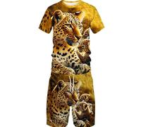 Leopard Print 3D Printed Casual Short Sleeve Crew Neck Suit for Men 2 Piece Shorts Tracksuit (Leopard6,XL)