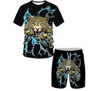 Leopard Print 3D Printed Casual Short Sleeve Crew Neck Suit for Men 2 Piece Shorts Tracksuit (Leopard2,M)