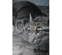 Leopard print composition notebook: perfect gift for animal lovers, children and adult lined composition notebook.