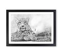 Leopard Resting Painting Framed Print | A2 Black Framed Wall Art | Ready to Hang | Modern Animal Picture | Living Room Bedroom Lounge Office
