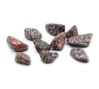 Leopard Skin Large Tumble Stones - 24 Pack