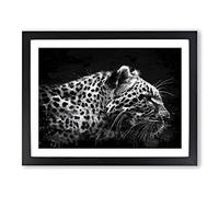 Leopard Tiger Modern CB Framed Wall Art Print, Ready to Hang Picture for Living Room Bedroom Home Office Décor, Black A4 (34 x 25 cm)