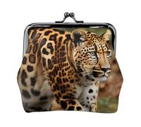 Leopards Pattern Print Coin Purse,Lock Wallet Buckle Kiss Lock,Purse Leather Coin Purse Change Holder Wallet