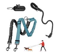 LEOSASA Double Dog Leash - 360°Swivel Tangle Free Splitter Attachment, 1 Rope with Handle, 2 Dogs Multi-Functional Leash, for Outdoor Walk Train Small Medium Large Two Pet, Lake Blue