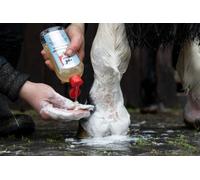 Leovet First Aid MED Wash Lotion - Great for Mud Fever - Wound Cleaning 250ML