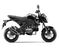 LeoVince full exhaust system GP CORSA BLACK KAWASAKI Z 125 PRO MINI 2017 2024