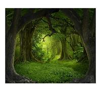 Leowefowa 10X8FT Vinyl Backdrop Photography Background Dreamy Fairy Tale Forest Old Tree Grass Field Scene Children Baby Kids Adults Portraits Backdrop 2.7(W) X1.8(H) M Photo Studio Props