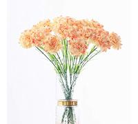Leoyoubei 20 inch Bouquets 10 Stem Carnations,Outdoor UV Resistant No Fade Artificial Flower,Carnation Silk Petals Fake Flowers Forever Plants for Home Party and Wedding Decor (Champagne)