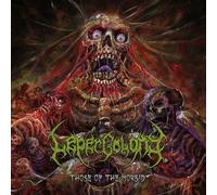 LEPER COLONY - THOSE OF THE MORBID