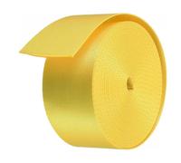 LEPEVNEY 50mm Flat Nylon Webbing Strap for Backpack Cargo Strap Luggage-rack 2" x 10 Yards Gold Tone